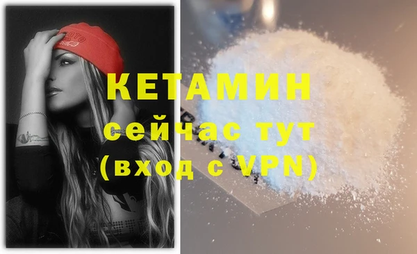 твердый Невель