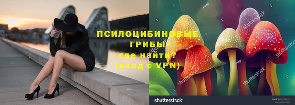 ПСИЛОЦИБИНОВЫЕ ГРИБЫ Няндома