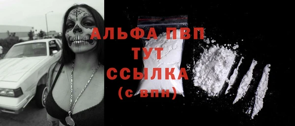 ПСИЛОЦИБИНОВЫЕ ГРИБЫ Няндома