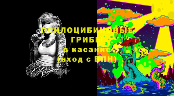 ПСИЛОЦИБИНОВЫЕ ГРИБЫ Няндома