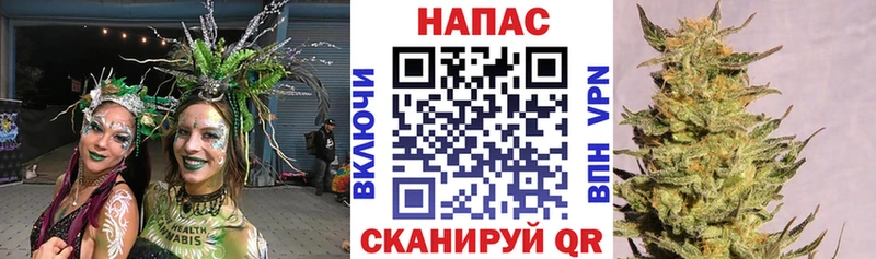 Бошки марихуана план  дарк нет клад  Козловка 